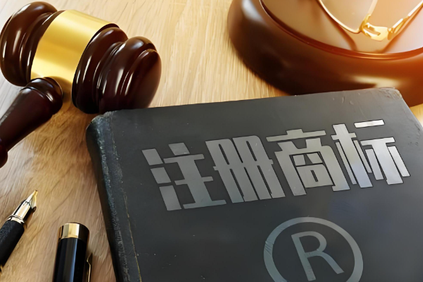 商標(biāo)駁回復(fù)審流程的注意事項有哪些？